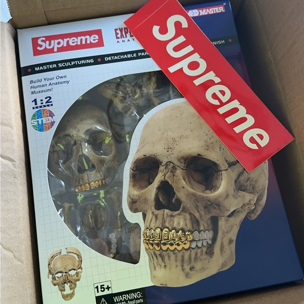 Supreme 4d exploded skull anatomy model